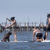 Long Beach twp paddleboarders