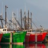 barnegat light fishing boats